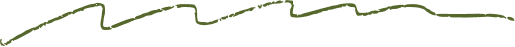 Decorative line